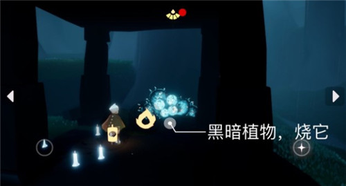 光遇5月10日常任务怎么做-5.10日常任务攻略