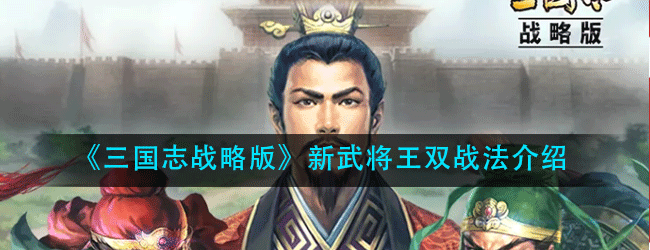 三国志战略版新武将王双怎么样-新武将王双战法介绍