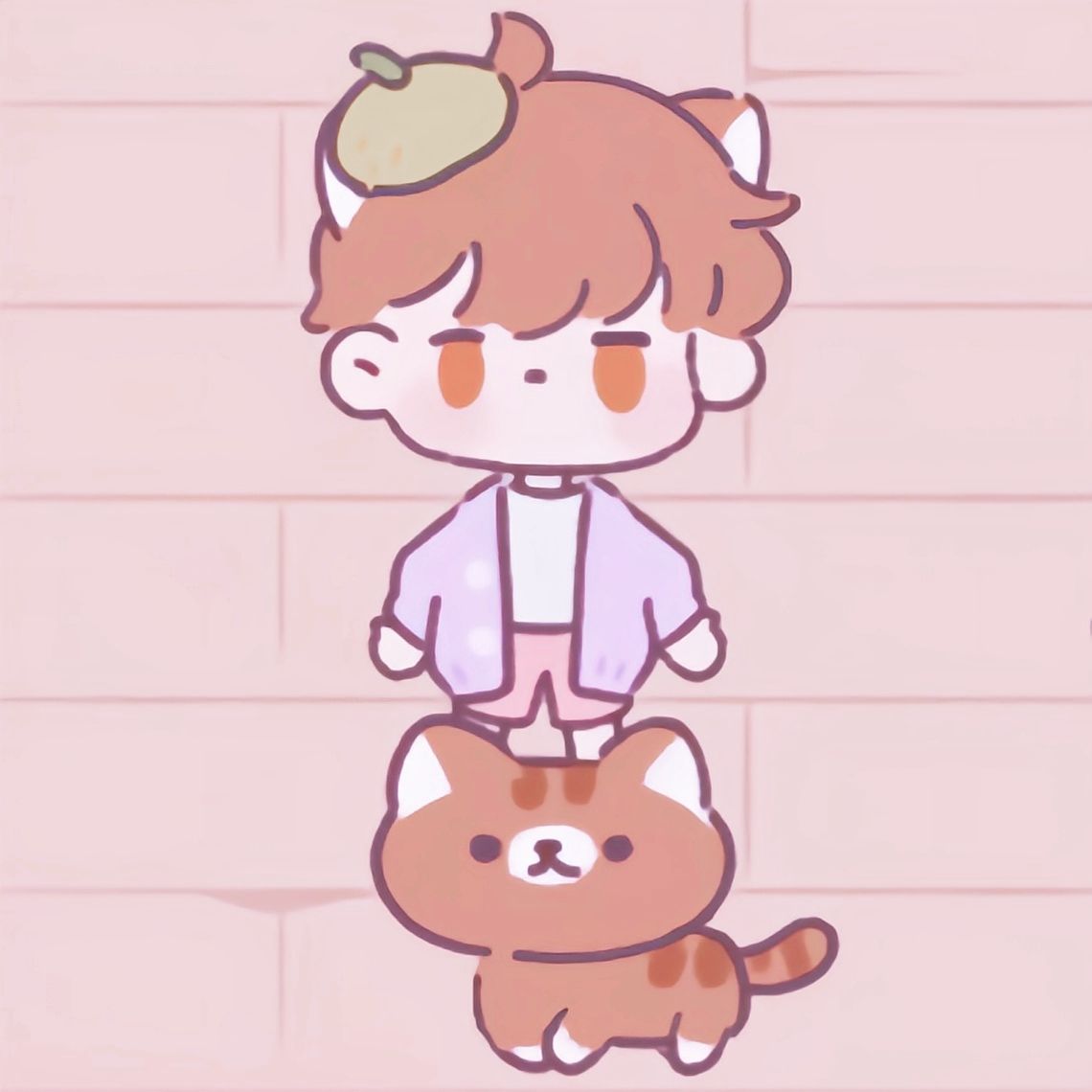 遇见你的猫怎么获得猫咪-获得方法介绍