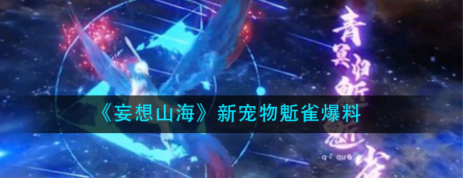 妄想山海鬿雀是什么-新宠物鬿雀爆料