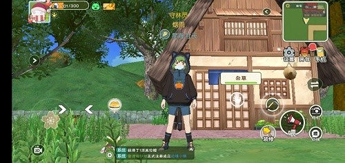 小森生活猫猫卫衣怎么获得