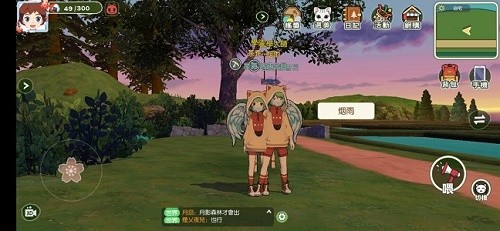 小森生活猫猫卫衣怎么获得