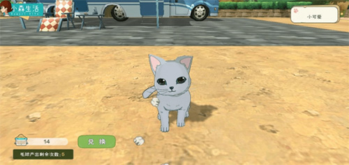 小森生活猫咪选美怎么参加-猫咪选美参赛方法和时间介绍