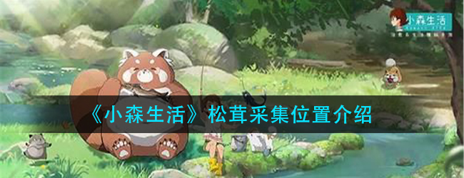 小森生活松茸在什么地方-松茸采集位置介绍