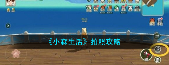 小森生活拍照功能在哪-小森生活拍照攻略