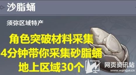 《原神》3.5版本沙脂蛹最高效采集路线一览